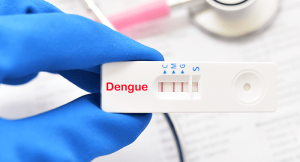 Como funciona o teste da dengue? Conheça os 3 tipos disponíveis 32